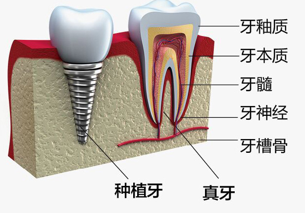 1494494126384764.jpg 333.jpg