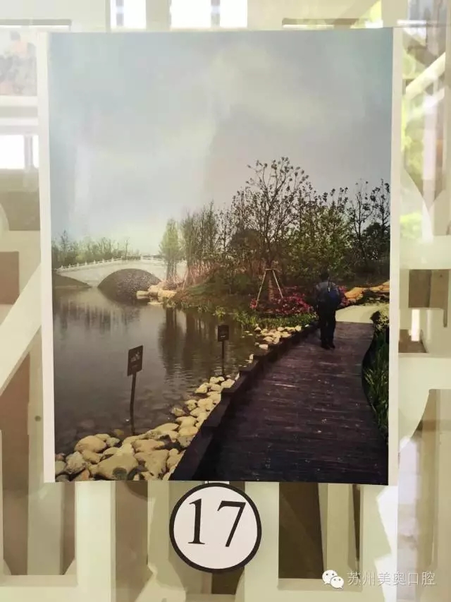 1463567699523454.jpg 17.webp.jpg