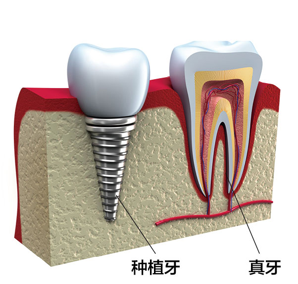 1495094957732123.jpg 2017_14.jpg